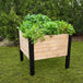 Square raised planter box