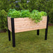 Large Raised Planter Box