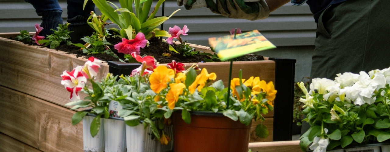 Grow Your Space